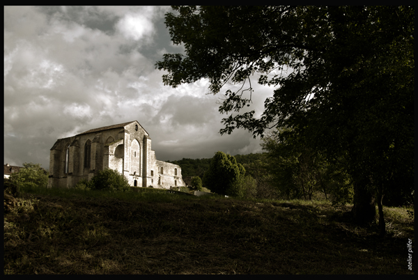 abbaye nouvelle plein champ