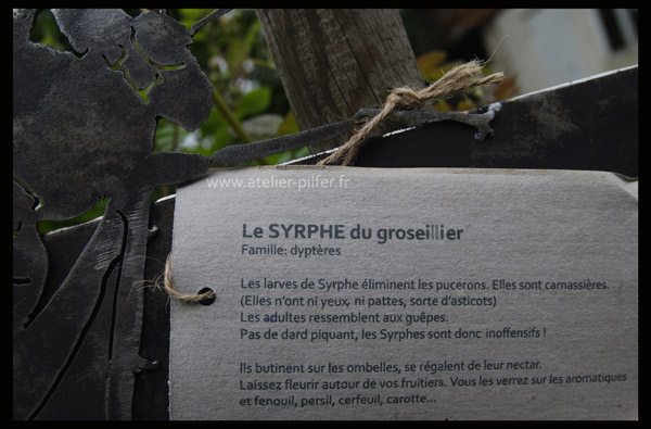 menu 2 sculptures les bestioles au jardin syrphe fiche