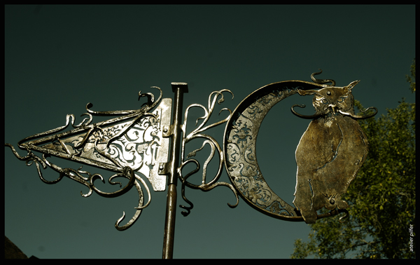 hibou et lune en compagnie 